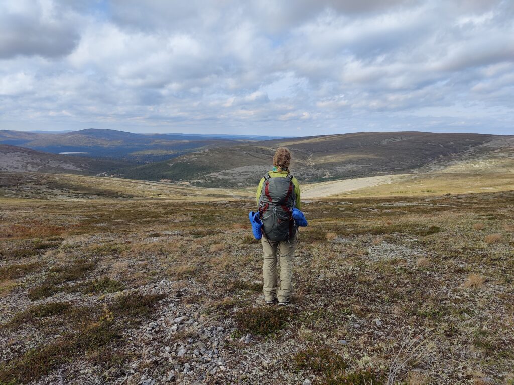 Avotunturimaisemaa riitelmäpään rinteiltä