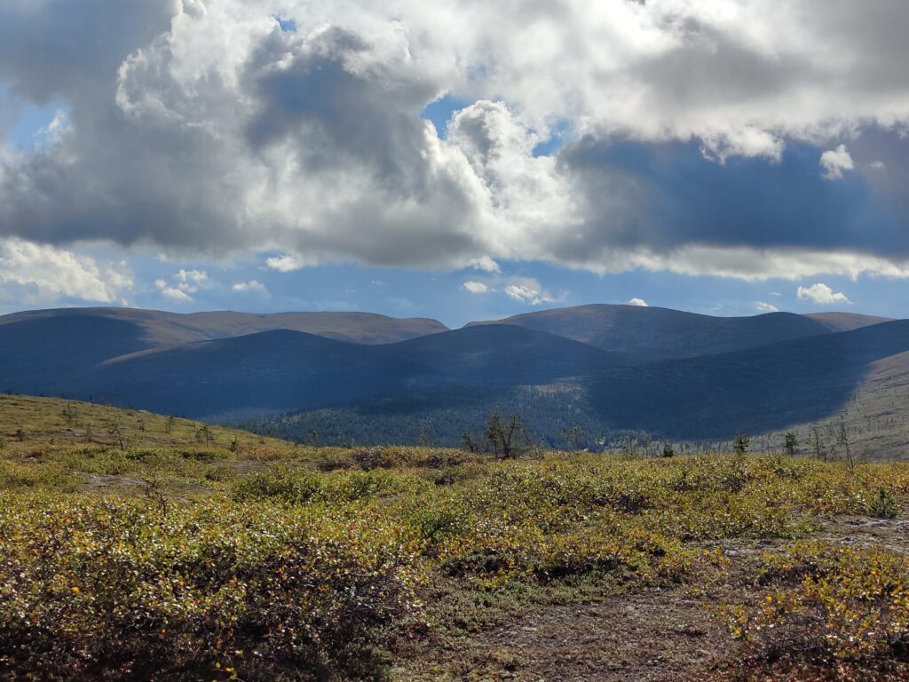 Kaarnepäältä avautuvat näkymät Urho Kekkosen kansallispuiston syrjävyöhykkeen huipuille Sokostin suuntaan.