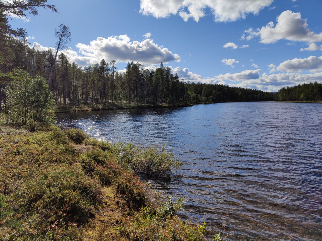 Auringonpaisteessa kimaltava aittajärvi ja lähes pilvetön taivas.