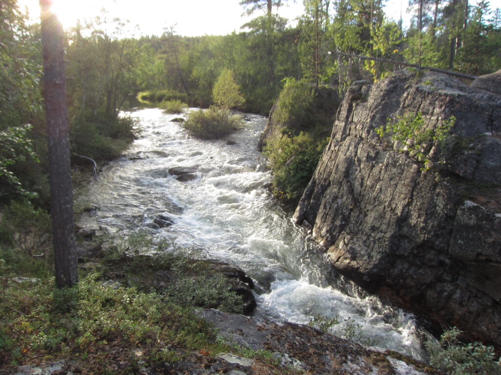 Kotaköngäs kuohuineen