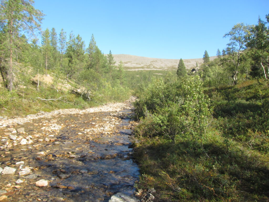 Tunturipuro ja matalakasvuista metsää matkalla Sokostille
