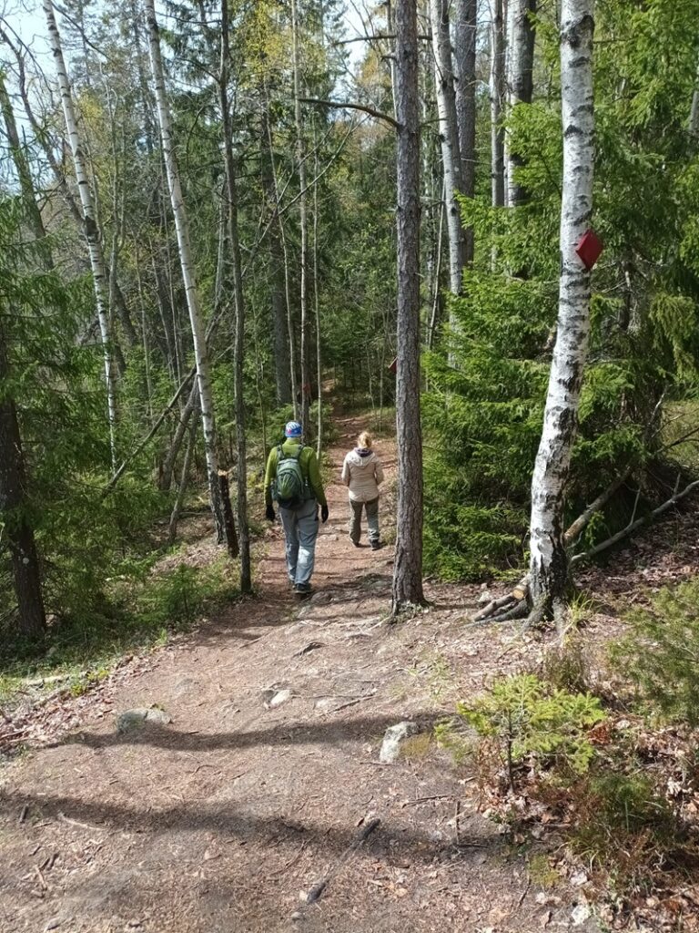 Metsäpolku Meikolla