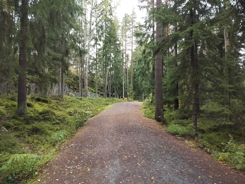 Hiekkapolku metsässä