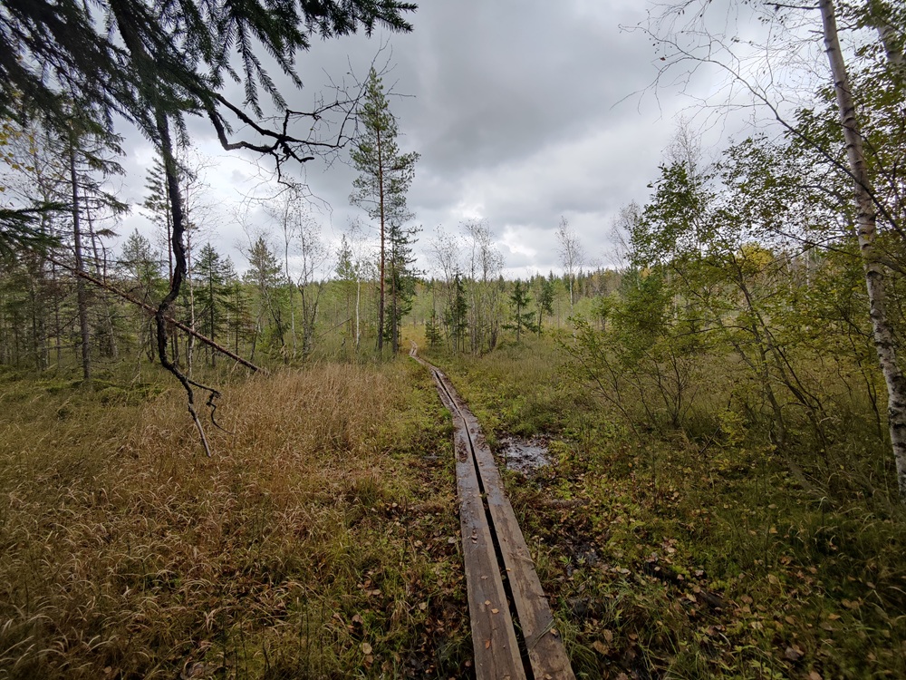 Tremankärrin suo, jonka läpi kulkevat pitkospuut