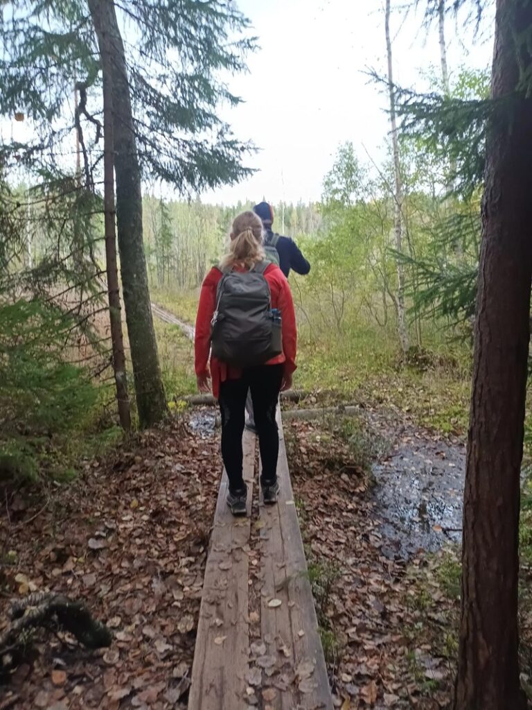 Tremanskärrin suon yli vievät pitkokset