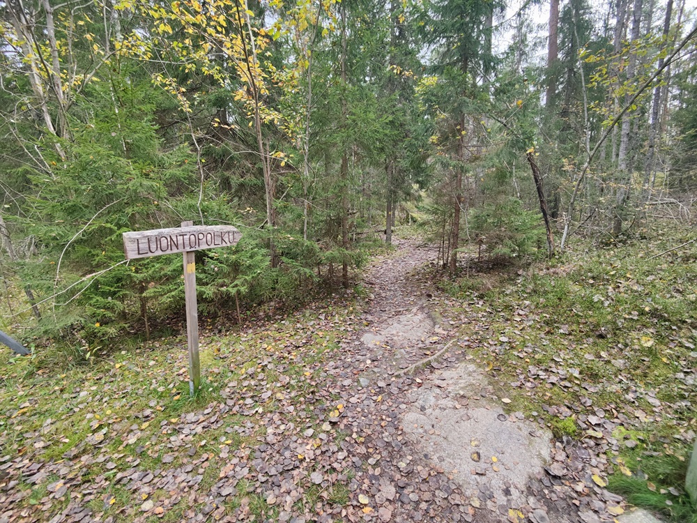 Tremanskärrin luontopolun alkupää - kapea polku vie havumetsän syövereihin
