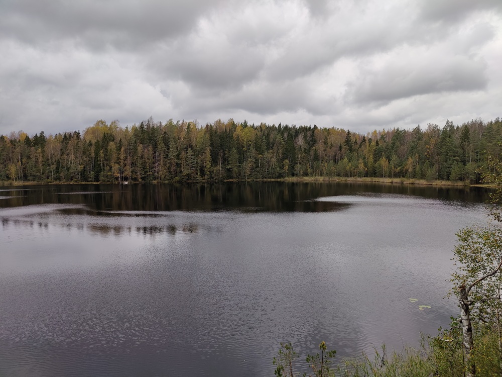 Kurkijärvi ja sen takana olevaa ruskan väristä sekametsää
